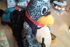 Tux packt ein